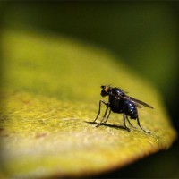 /album/italiya/photolia-a07-jpg/